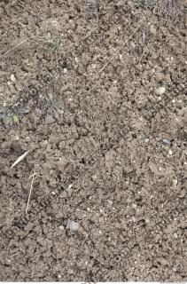 Photo Texture of Soil Rough 0002